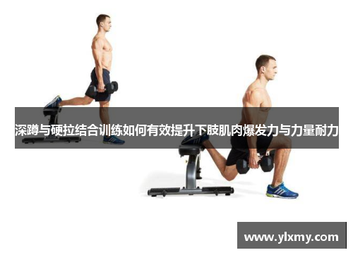 深蹲与硬拉结合训练如何有效提升下肢肌肉爆发力与力量耐力