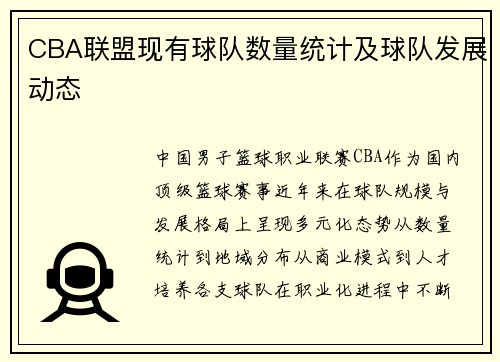 CBA联盟现有球队数量统计及球队发展动态
