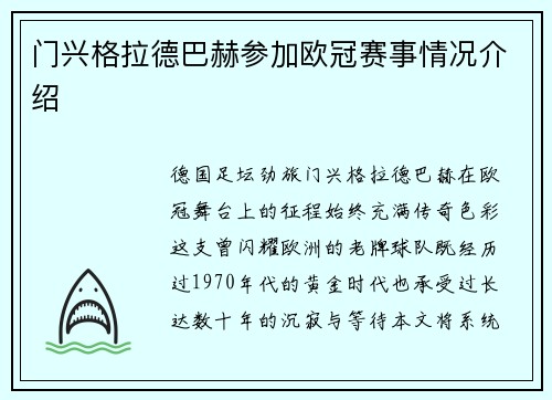 门兴格拉德巴赫参加欧冠赛事情况介绍
